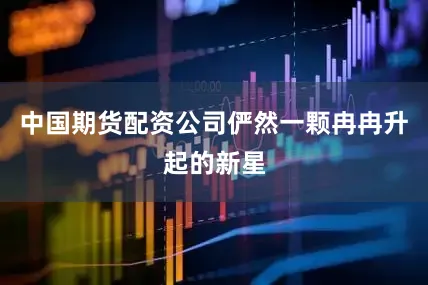 中国期货配资公司俨然一颗冉冉升起的新星