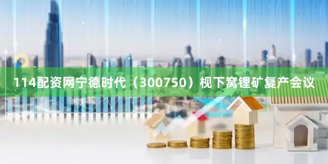 114配资网宁德时代（300750）枧下窝锂矿复产会议