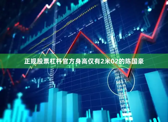 正规股票杠杆官方身高仅有2米02的陈国豪