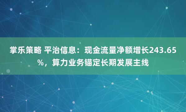 掌乐策略 平治信息：现金流量净额增长243.65%，算力业务锚定长期发展主线